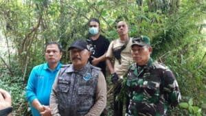 BNNP Sumut Dan BNNK Madina Musnahkan 25 Ton Ganja Di Pegunugan Tor Sihite