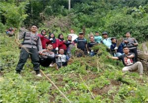 BNN KEMBALI MUSNAHKAN LADANG GANJA DI PERBUKITAN TOR SIHITE