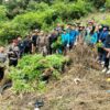 Operasi Gabungan BNN RI Bersama Stakeholder Musnahkan Ladang Ganja di Perbukitan Tor Sihite